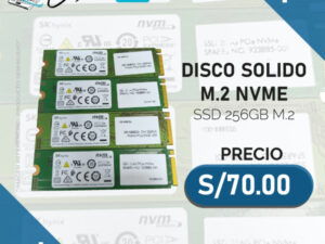 DISCO SOLIDO 256GB SSD M.2 NVME PCIE